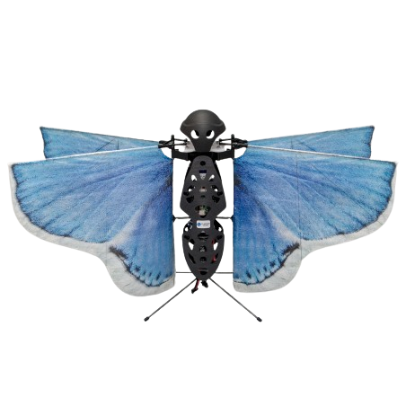 Wing Set for Nimble view 2